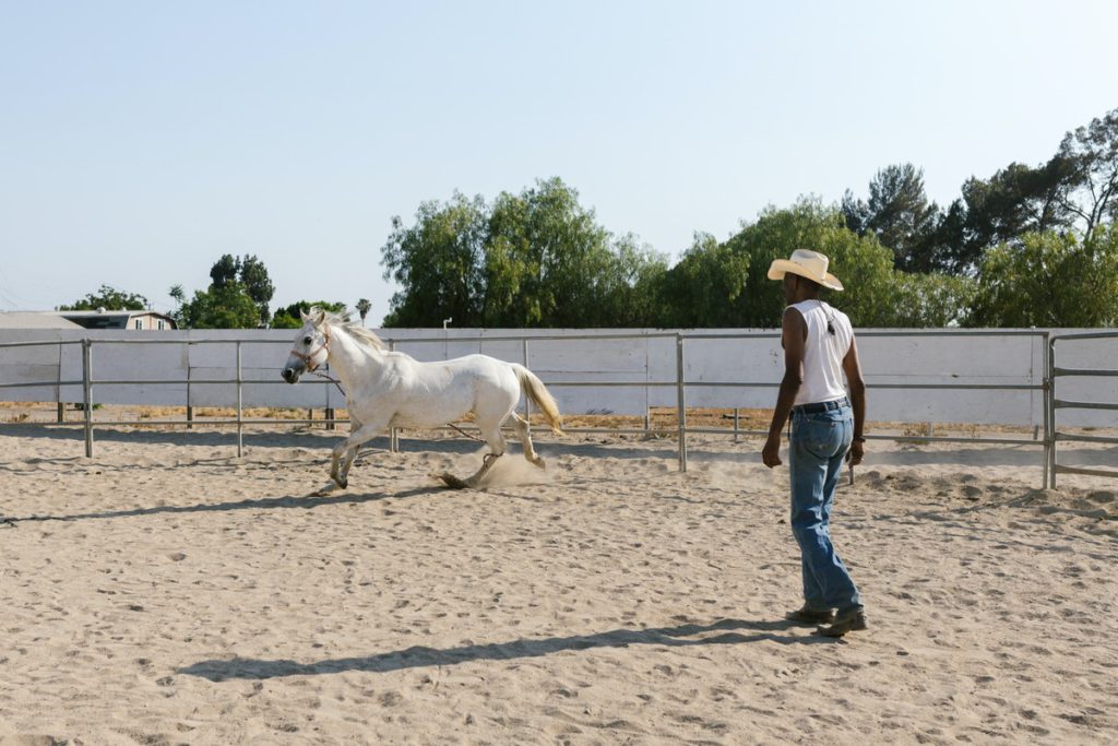 equestrian arena